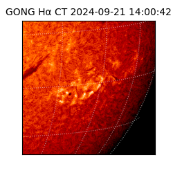 gong - 2024-09-21T14:00:42