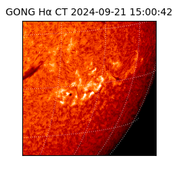 gong - 2024-09-21T15:00:42