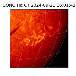 gong - 2024-09-21T16:01:42