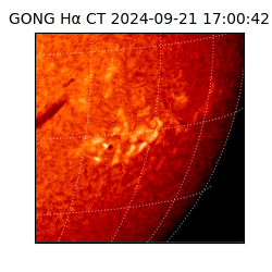 gong - 2024-09-21T17:00:42