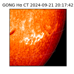 gong - 2024-09-21T20:17:42