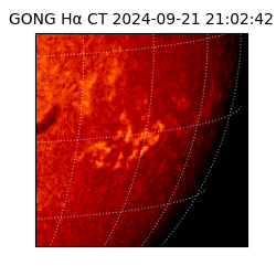 gong - 2024-09-21T21:02:42