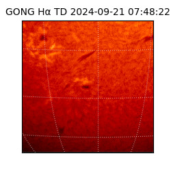 gong - 2024-09-21T07:48:22