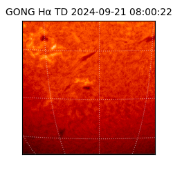 gong - 2024-09-21T08:00:22