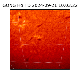 gong - 2024-09-21T10:03:22