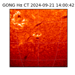 gong - 2024-09-21T14:00:42