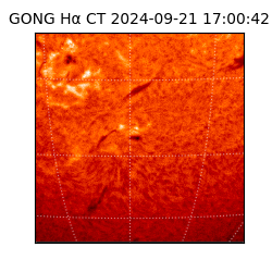 gong - 2024-09-21T17:00:42