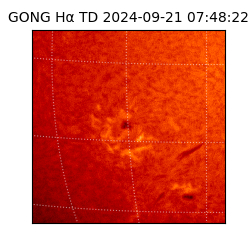 gong - 2024-09-21T07:48:22