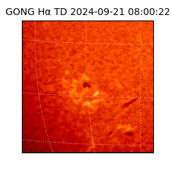 gong - 2024-09-21T08:00:22