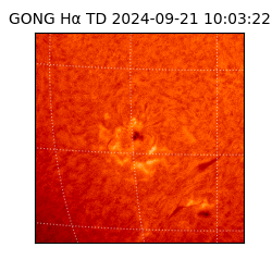 gong - 2024-09-21T10:03:22