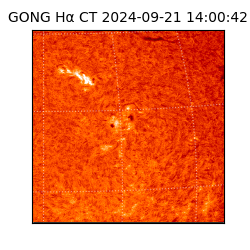 gong - 2024-09-21T14:00:42