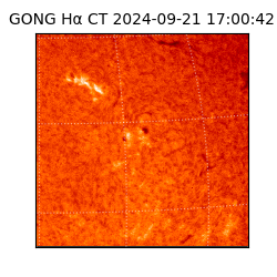 gong - 2024-09-21T17:00:42