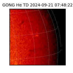 gong - 2024-09-21T07:48:22