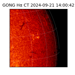 gong - 2024-09-21T14:00:42