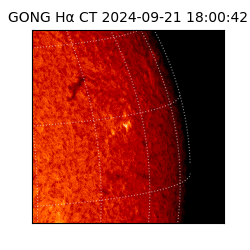 gong - 2024-09-21T18:00:42