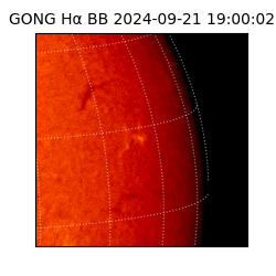 gong - 2024-09-21T19:00:02