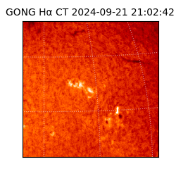 gong - 2024-09-21T21:02:42