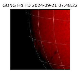 gong - 2024-09-21T07:48:22