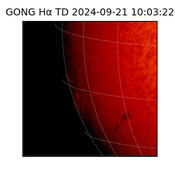 gong - 2024-09-21T10:03:22