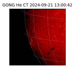 gong - 2024-09-21T13:00:42