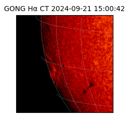 gong - 2024-09-21T15:00:42