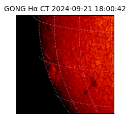 gong - 2024-09-21T18:00:42