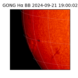 gong - 2024-09-21T19:00:02