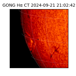 gong - 2024-09-21T21:02:42