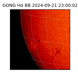 gong - 2024-09-21T23:00:02