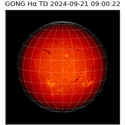 gong - 2024-09-21T09:00:22