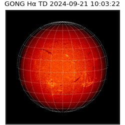 gong - 2024-09-21T10:03:22