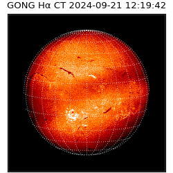 gong - 2024-09-21T12:19:42