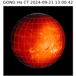 gong - 2024-09-21T13:00:42