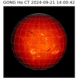 gong - 2024-09-21T14:00:42