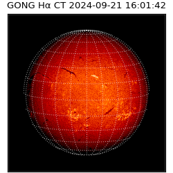 gong - 2024-09-21T16:01:42