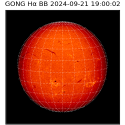 gong - 2024-09-21T19:00:02