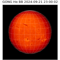 gong - 2024-09-21T23:00:02