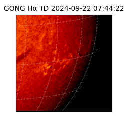 gong - 2024-09-22T07:44:22