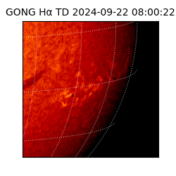 gong - 2024-09-22T08:00:22