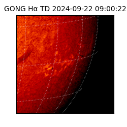 gong - 2024-09-22T09:00:22