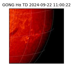 gong - 2024-09-22T11:00:22