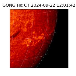 gong - 2024-09-22T12:01:42