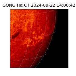 gong - 2024-09-22T14:00:42
