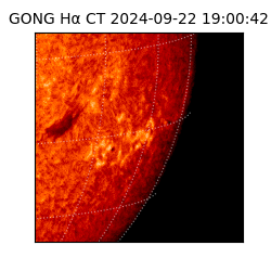 gong - 2024-09-22T19:00:42