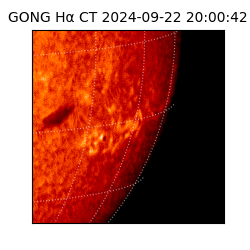 gong - 2024-09-22T20:00:42