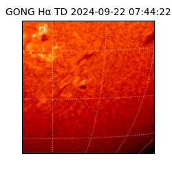 gong - 2024-09-22T07:44:22