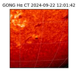 gong - 2024-09-22T12:01:42