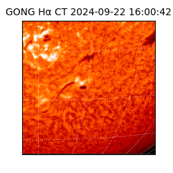 gong - 2024-09-22T16:00:42