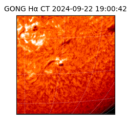 gong - 2024-09-22T19:00:42