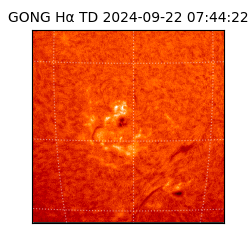 gong - 2024-09-22T07:44:22